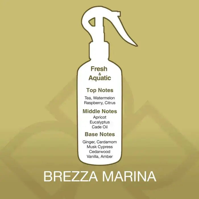Fragrance profile of Brezza Marina Air Freshener Spray showing top notes of citrus and watermelon, middle notes of eucalyptus, and base notes of musk.