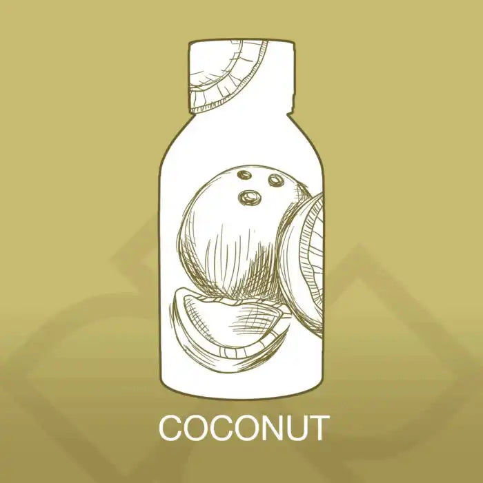 Illustrated label design of Coconut Aroma Blend 500ml featuring hand-drawn coconut pieces, representing tropical home fragrance oil.