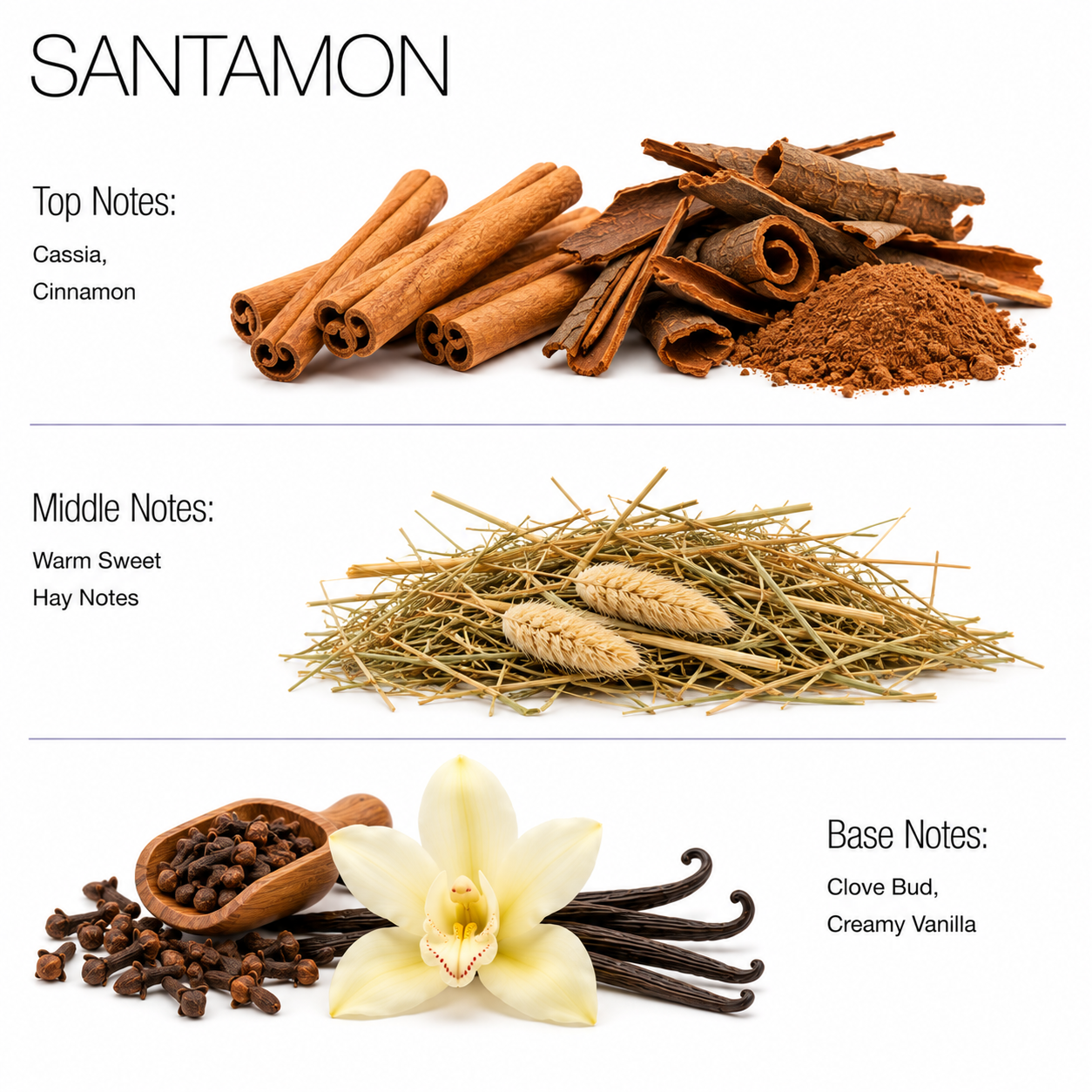 Santamon Aroma Diffuser Oils - Fresh Spicy Scent