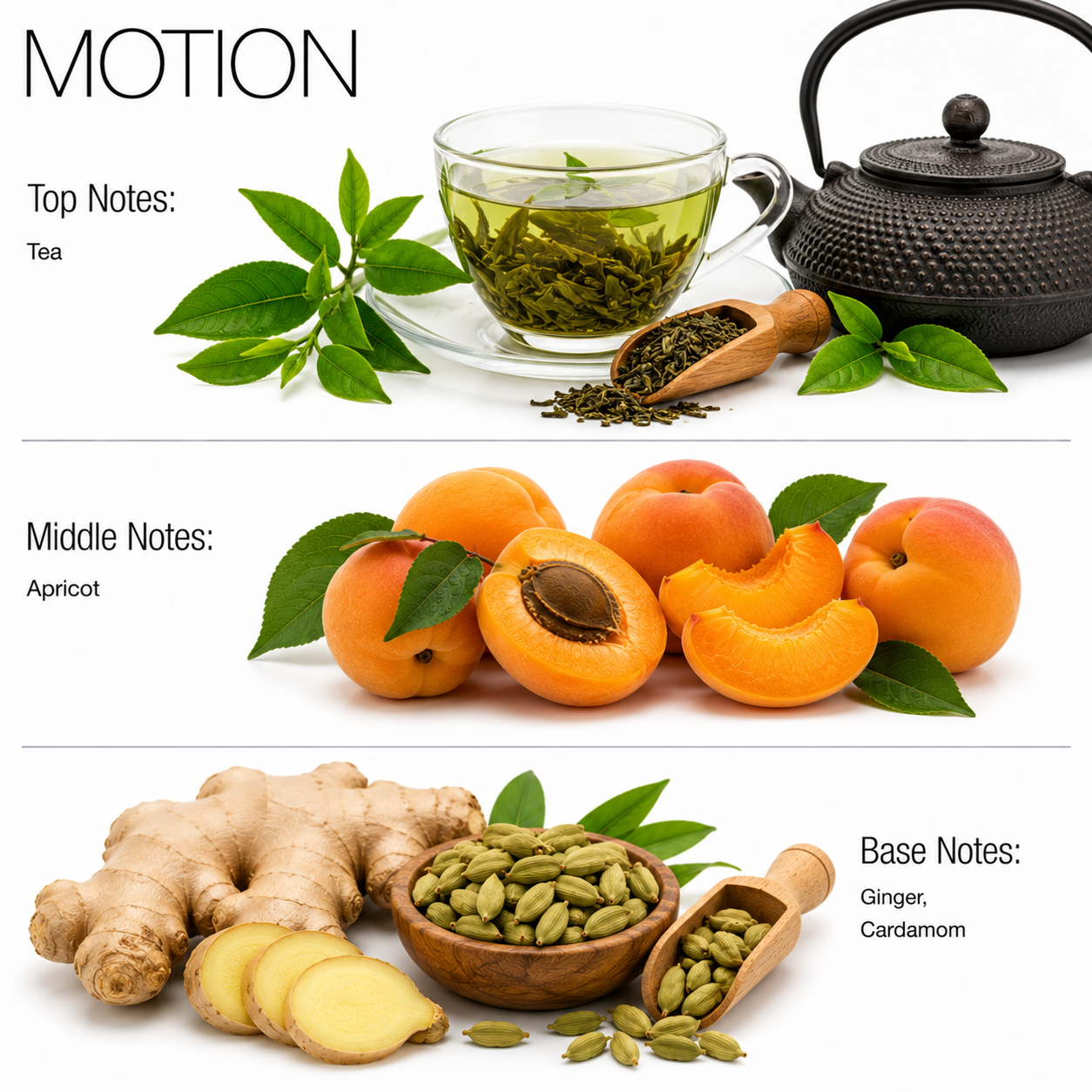 Motion Aroma Diffuser Oils - Fresh Dynamic Scent