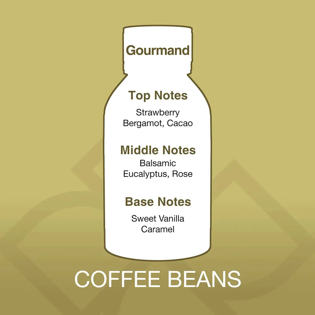 Coffee Beans Aroma Blend fragrance profile with top notes of strawberry and cacao, middle notes of rose and eucalyptus, and base of vanilla caramel.