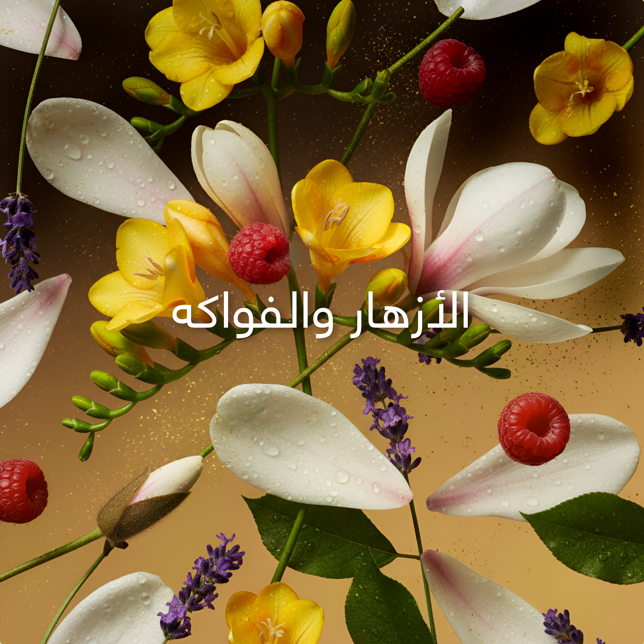 Floral arrangement with white, yellow, and purple flowers, and raspberries on a brown background.