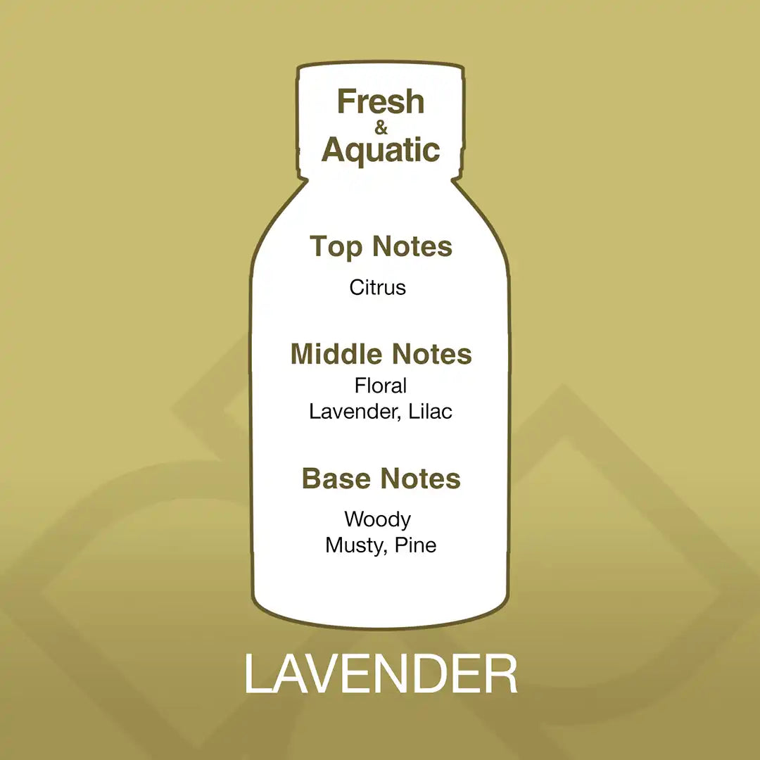 Lavender – Aroma Blend