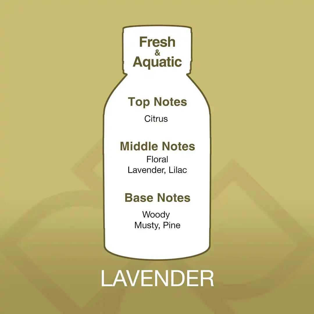 Fragrance profile of Lavender Aroma Blend showing citrus top notes, floral lavender and lilac middle notes, and woody pine base notes for a fresh scent.