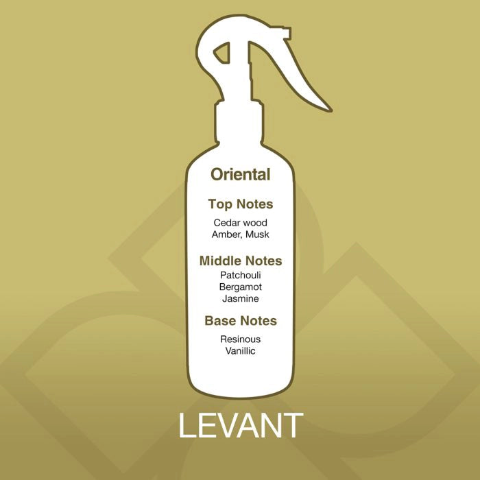 ليفانت – أَروما مِست ١٥٠ مل