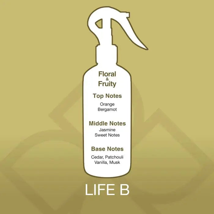Life B Aroma Mist scent profile showing top notes of orange and bergamot, middle notes of jasmine and sweet notes, and base notes of cedar and vanilla.
