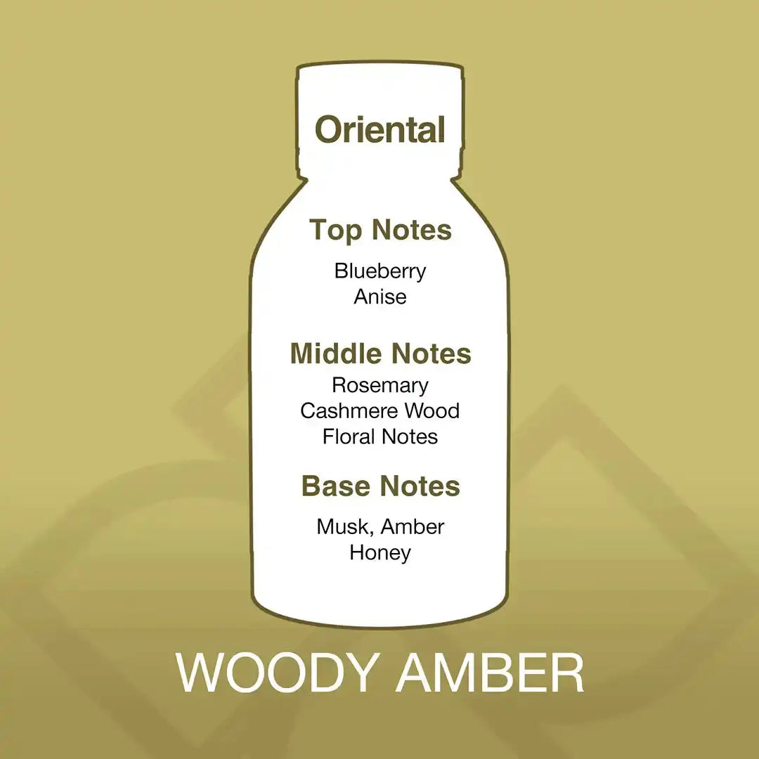 Woody Amber fragrance oil scent profile chart showing top notes of blueberry and anise, middle notes of rosemary and cashmere wood, and base notes of musk and amber.
