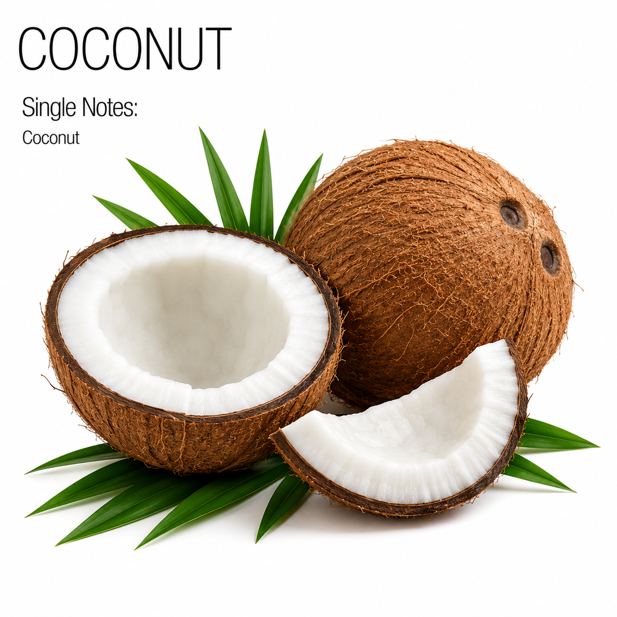 Coconut - Aroma Blend Diffuser Oils Creamy Tropical Scent
