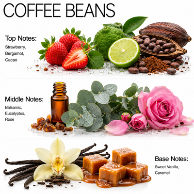 Coffee Beans - Aroma Blend Diffuser Oils Rich Roasted Scent