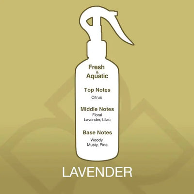 Fragrance profile of Aroma Mist Air Freshener - Lavender Scent showing citrus top notes, floral lavender middle notes, and woody pine base notes.