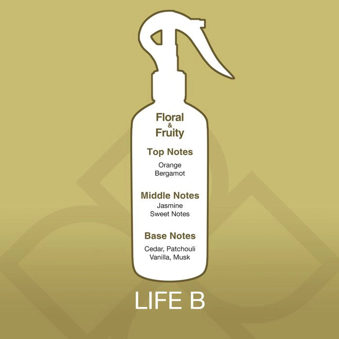 لايف بي – أَروما مِست 300 مل