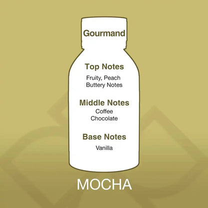 Mocha Aroma Blend scent profile chart showing fruity peach top notes, coffee and chocolate middle, and vanilla base for cozy ambiance.