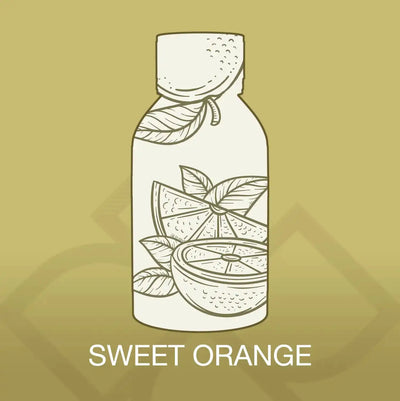 Illustrated label design of Sweet Orange Aroma Blend featuring citrus fruit and leaves, representing the refreshing home fragrance oil.