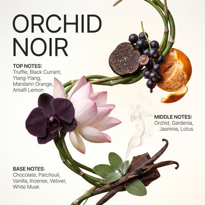 Orchid Noir Aroma Diffuser Oils